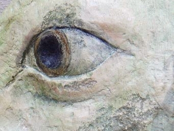 Oko vypracované v opuce a potom kolorované