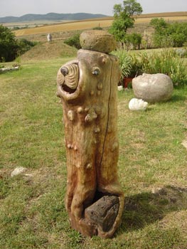 Shar-Pei hit by meteorite