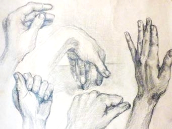 Hands study - pencil drawing