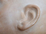 Ear study